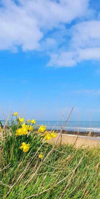 Herne Bay Central - 2 Minutes From Beach Apartment 외부 사진