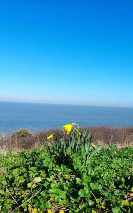 Herne Bay Central - 2 Minutes From Beach Apartment 외부 사진