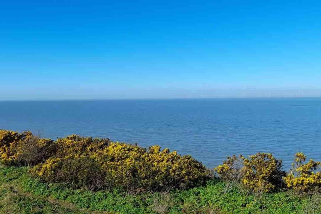 Herne Bay Central - 2 Minutes From Beach Apartment 외부 사진