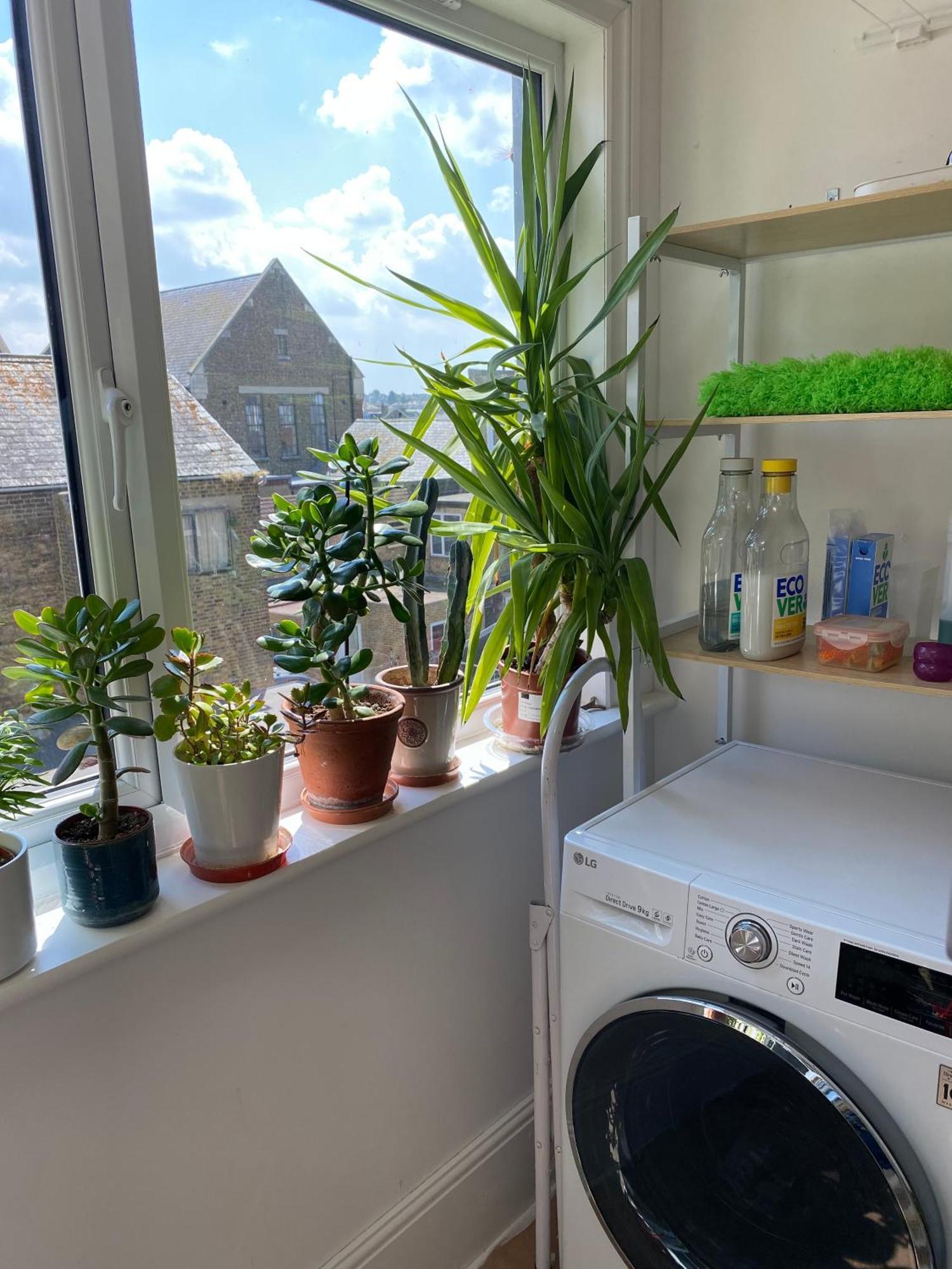 Herne Bay Central - 2 Minutes From Beach Apartment 외부 사진